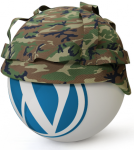 wordpress-security